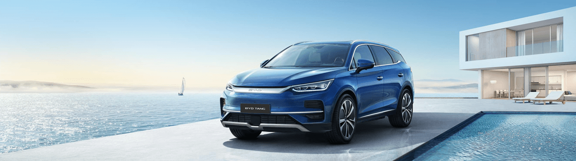 BYD Tang 2021-2025