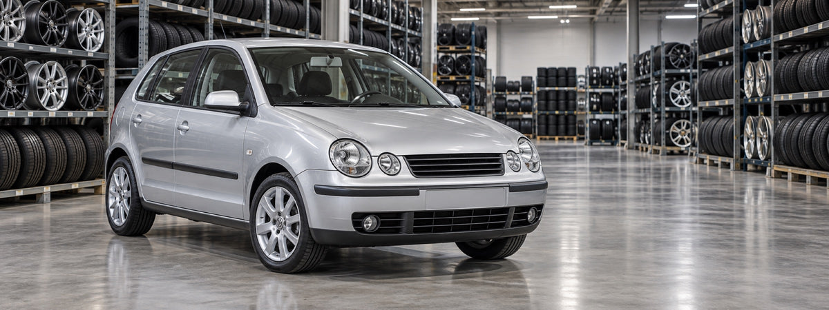 Volkswagen Polo hatch 2001-2009