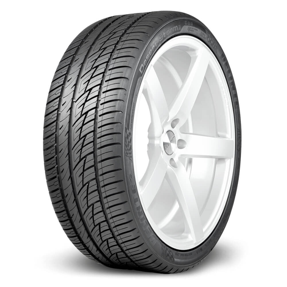 DELINTE® DESERT STORM DS8 - 255/30ZR22 95Y XL