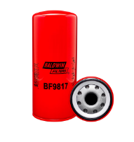 06080BF9817